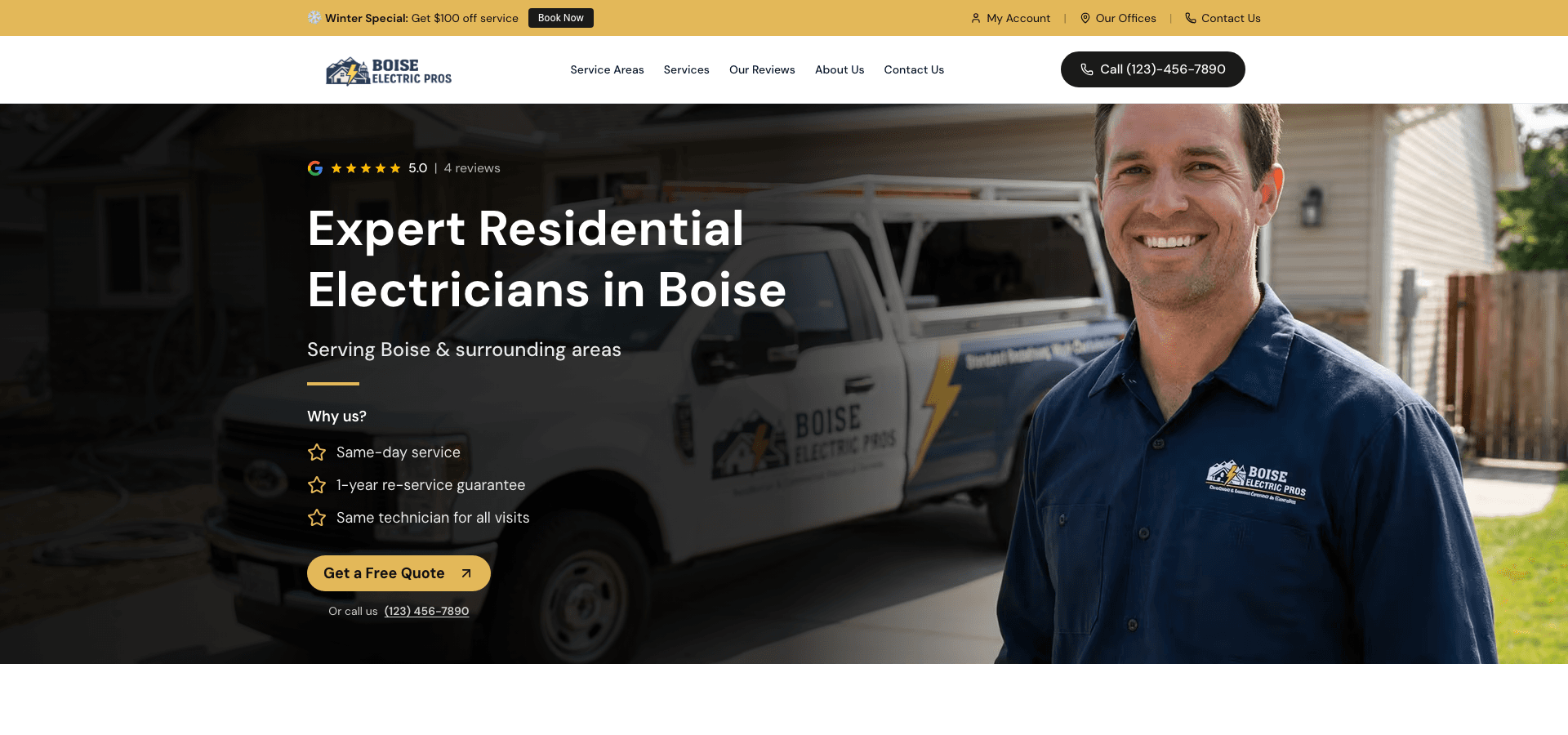 Boise Electric Pro homepage screenshot